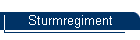Sturmregiment